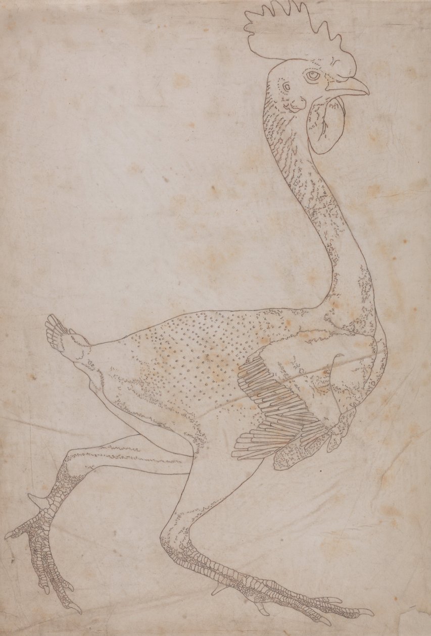 En jämförande anatomisk exponering av människokroppens struktur med en tiger och en ... av George Stubbs