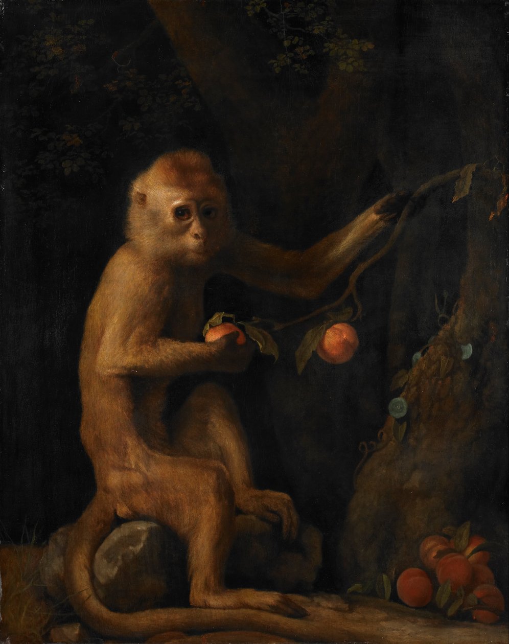 En apa av George Stubbs