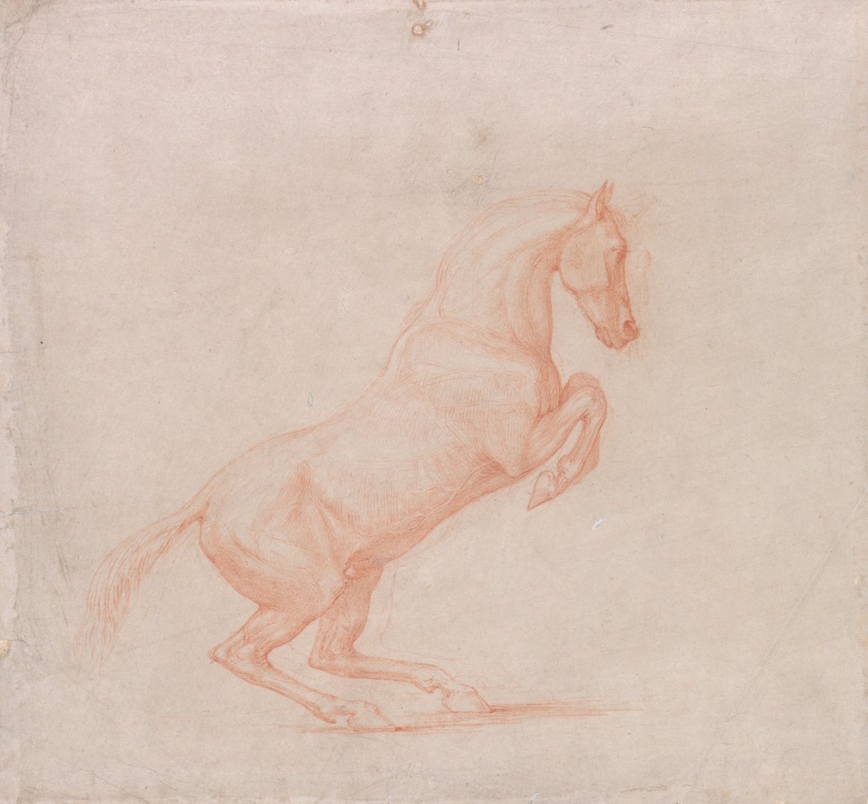 En dansande häst, vänd mot höger av George Stubbs