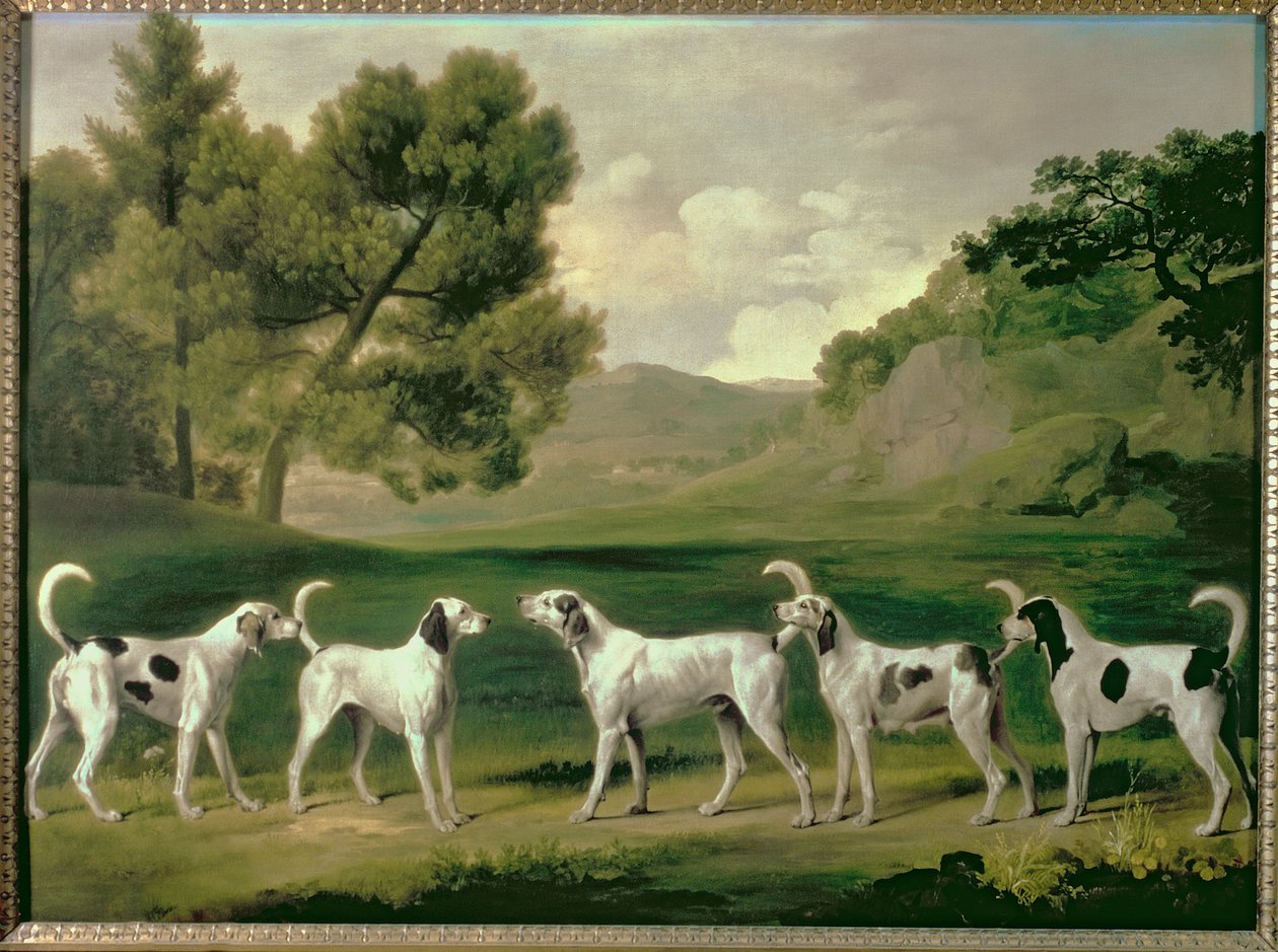 Rävhundar i ett landskap, 1762 av George Stubbs