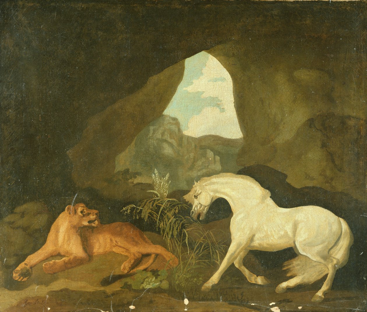 Lejoninna och vit hingst, 1760 av George Stubbs