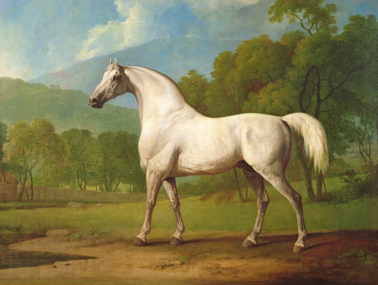 Mambrino, ca 1790 av George Stubbs
