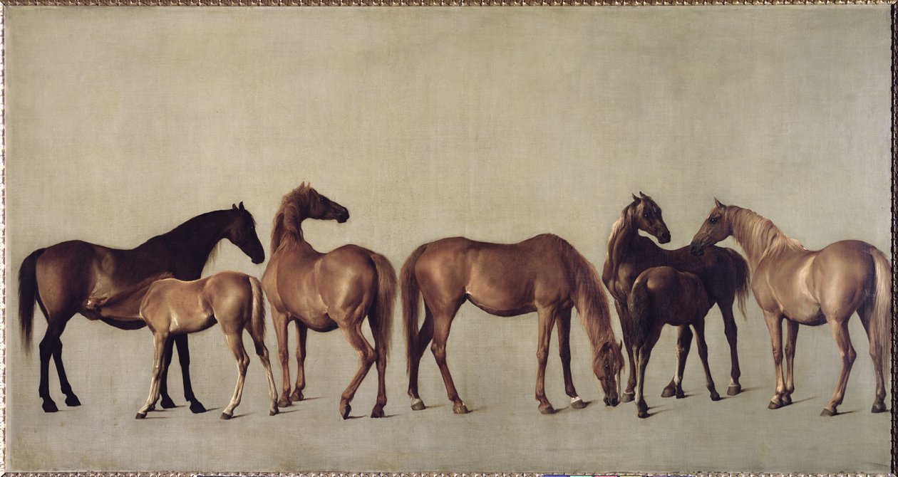 Ston och föl utan bakgrund, ca 1762 av George Stubbs