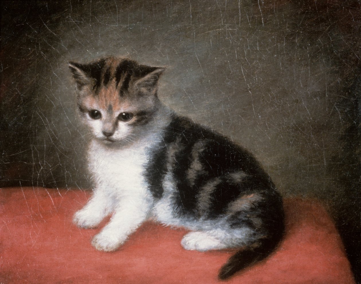Miss Ann Whites kattunge, 1790 av George Stubbs