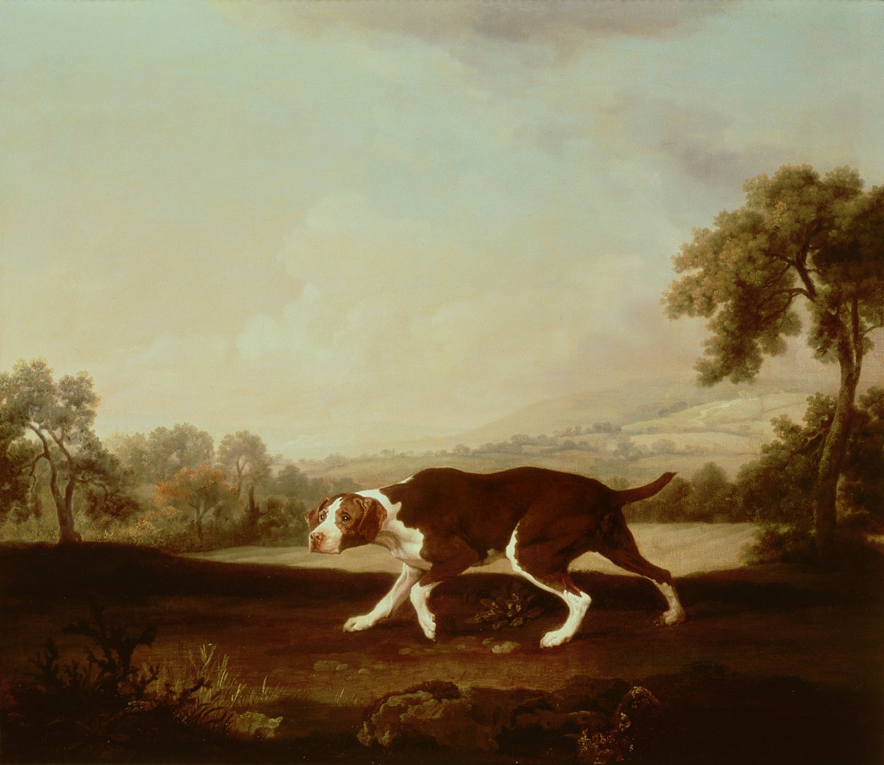 Spansk pekare av George Stubbs