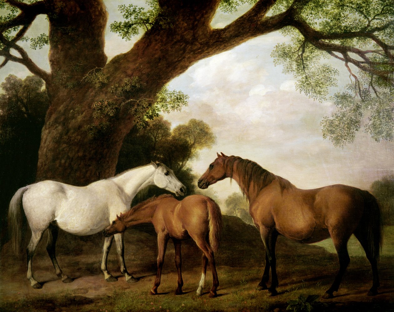 Två Shafto-ston och ett föl, 1774 av George Stubbs