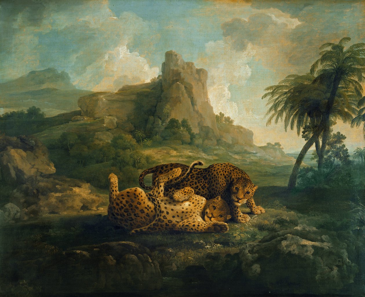 Tygers at Play, c.1763-8 av George Stubbs