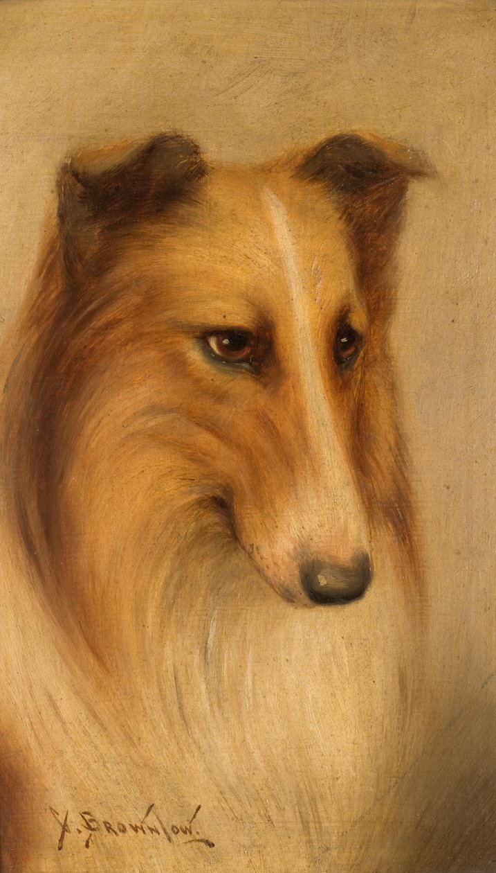 Collieolja ombord av George Washington Brownlow