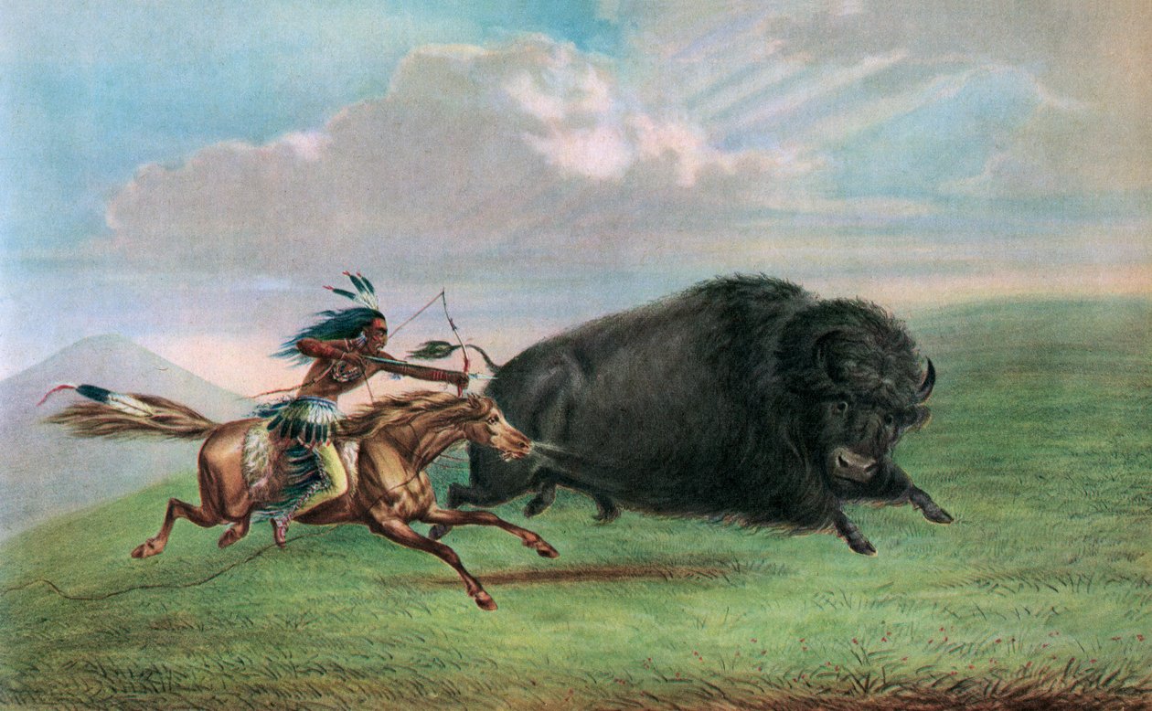 Tryck efter Buffalo Hunt av George Catlin, ca 1920 (screenprint) av George (after) Catlin