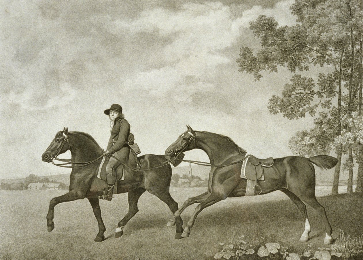Two Hacks, graverade av George Townley Stubbs (bap.1748-c.1815) (litho) av George (after) Stubbs