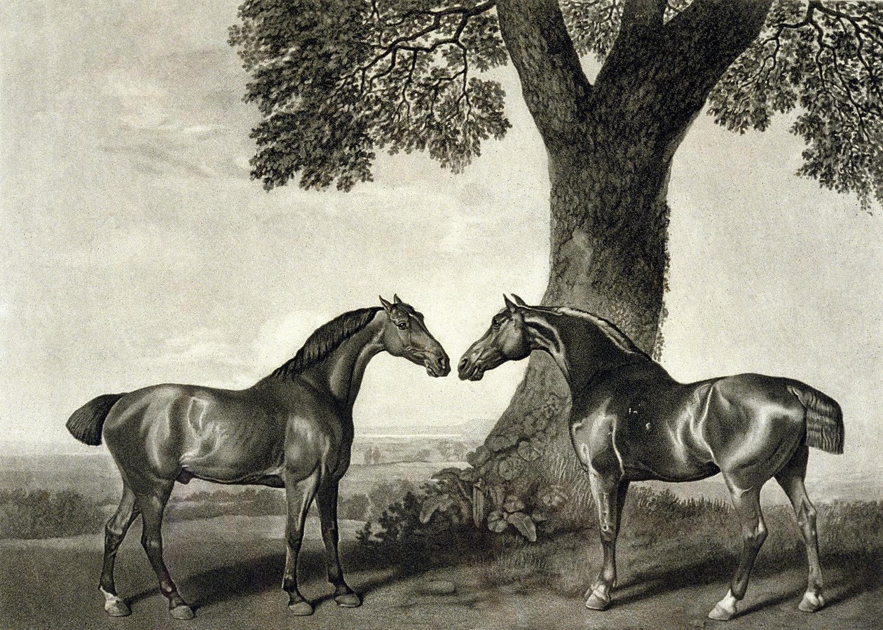 Två jägare, graverade av G.T. Stubbs (bap.1748-c.1815) (litho) (se även 266802) av George (after) Stubbs