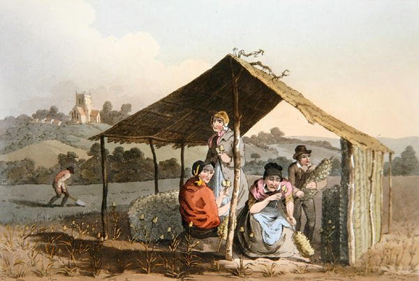 The Teazle Field, från `Costume of Yorkshire
