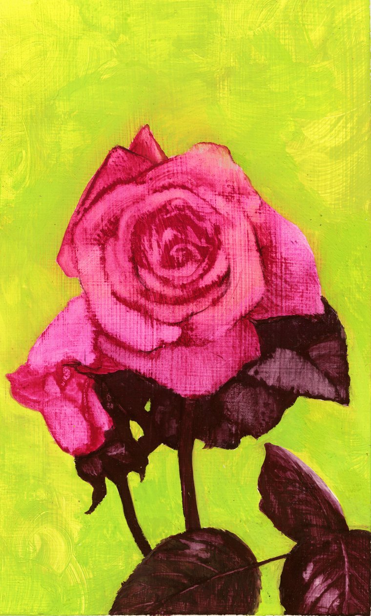 Bright Rose, 1980-tal (gouache på gessoed hardboard) av George Adamson
