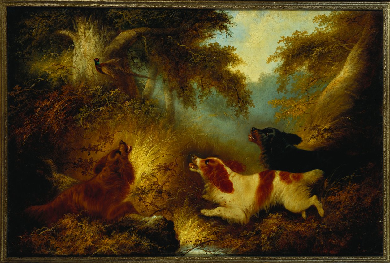 Spaniels sätter upp en fasan av George Armfield