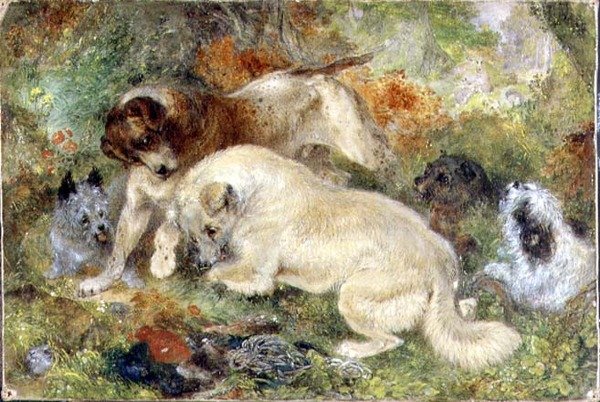 Terrier och kaniner i skogen av George Armfield