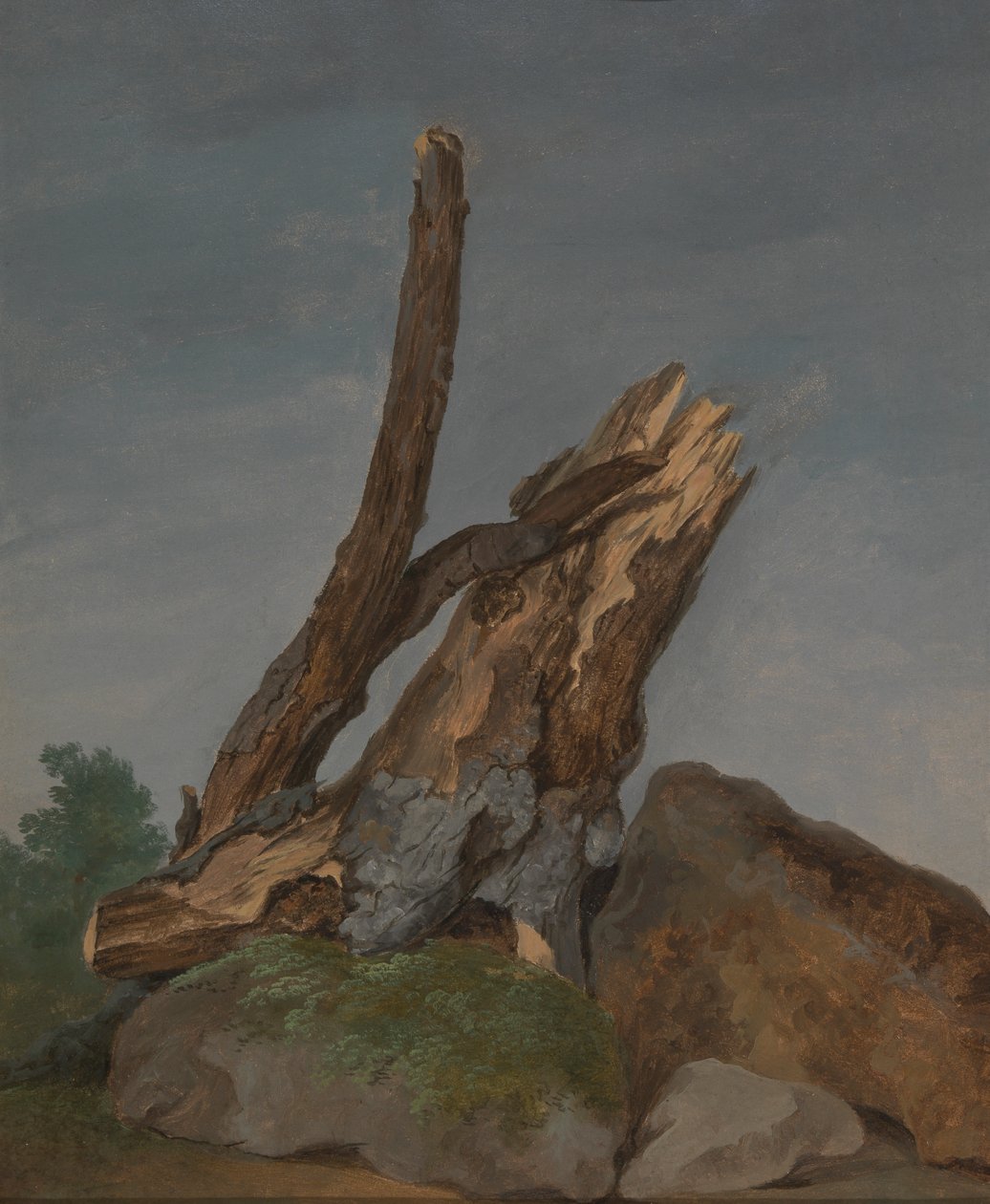 Studie av stenar och grenar av George Augustus Wallis