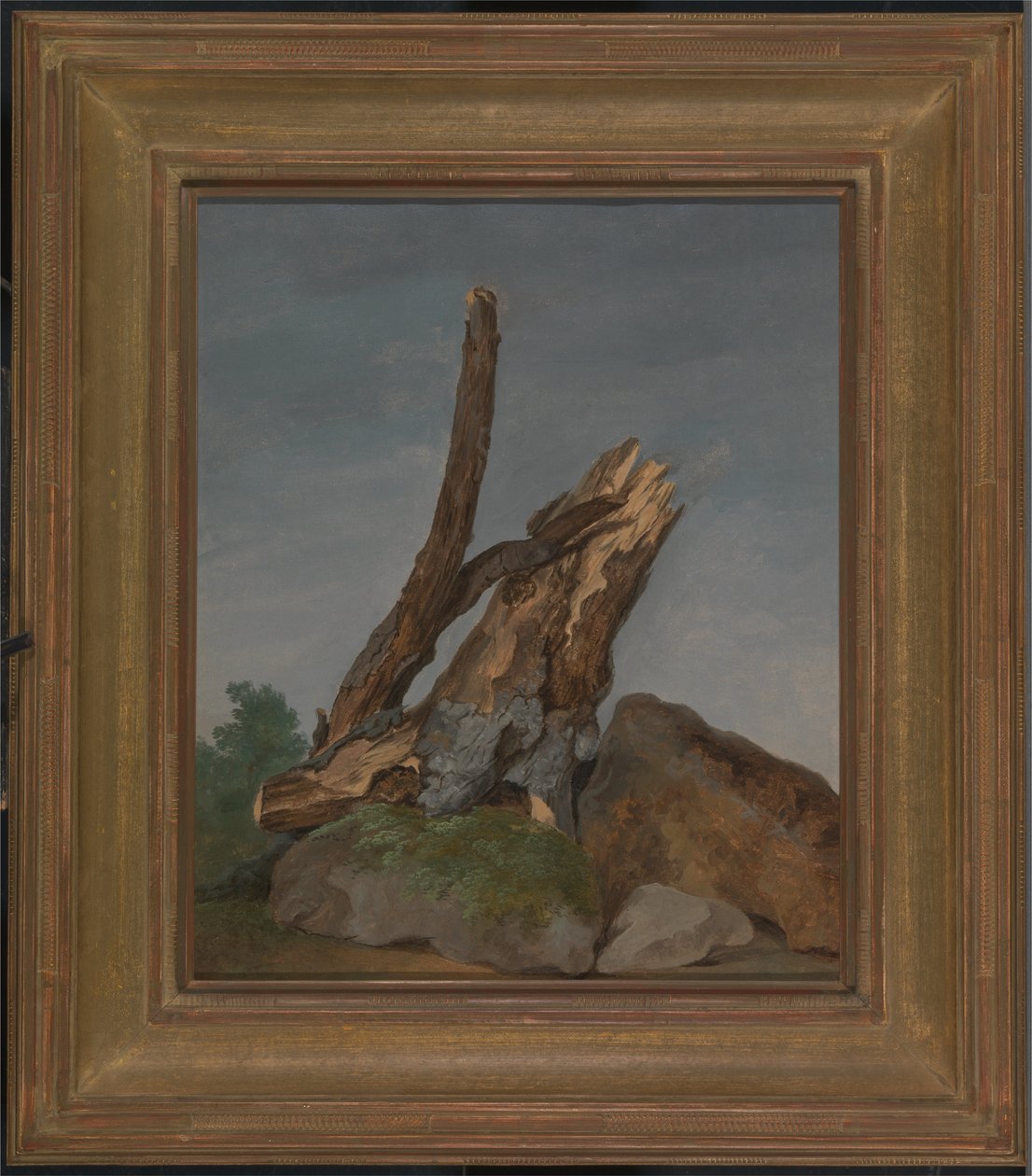 Studie av stenar och grenar av George Augustus Wallis