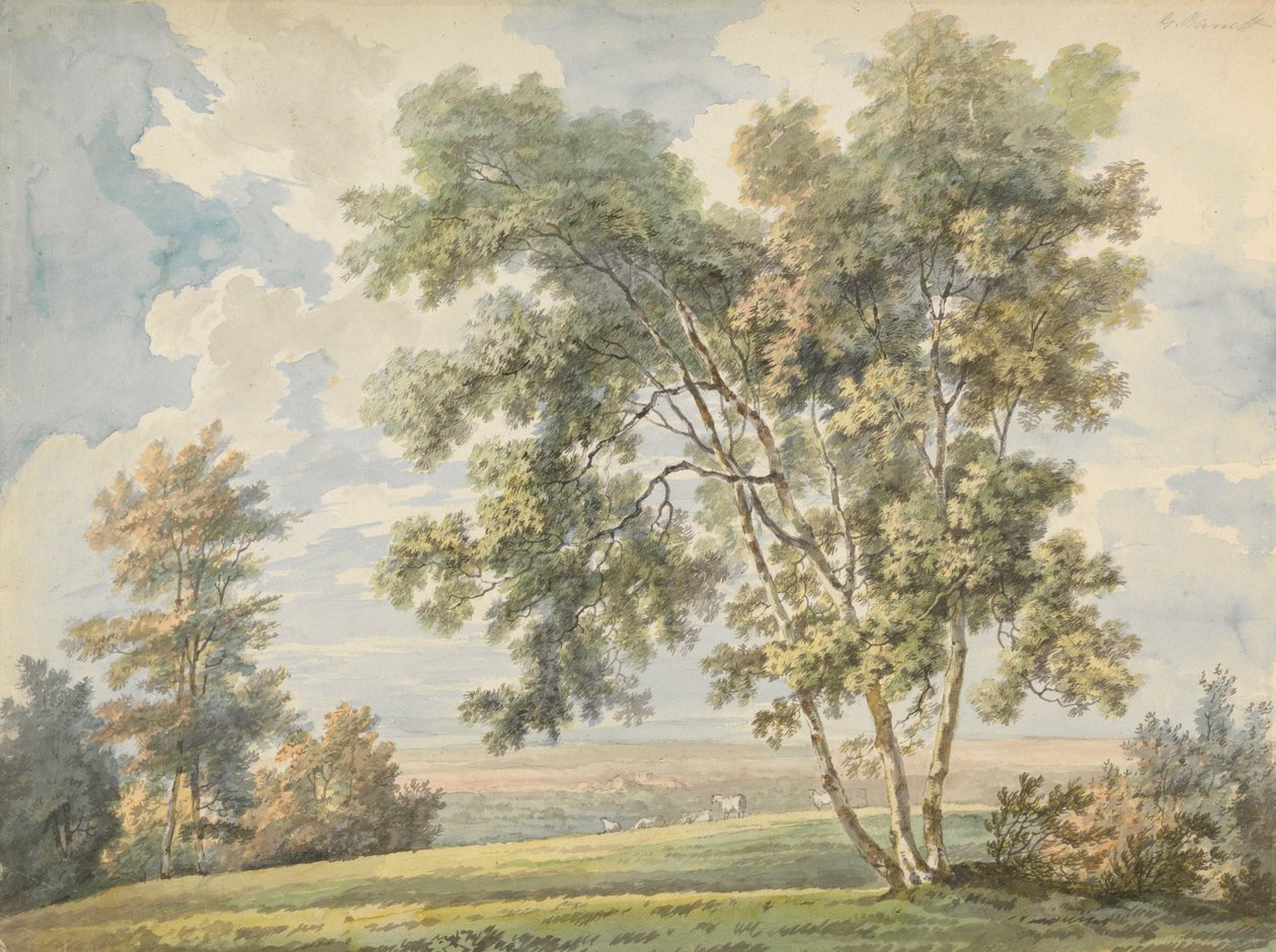 Landskap med träd och får (Parklandskap med får) av George Barret