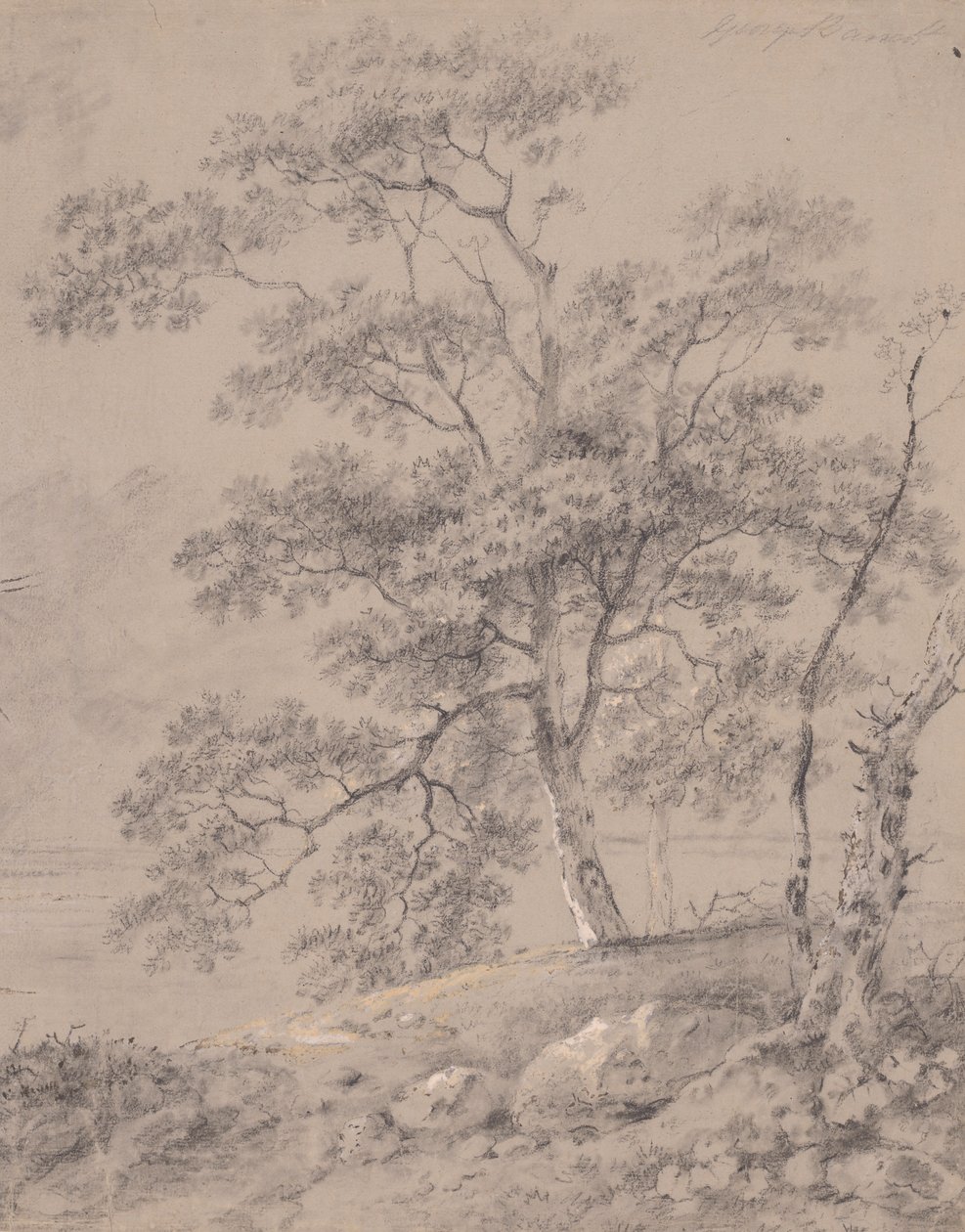 Trädstudie av George Barret