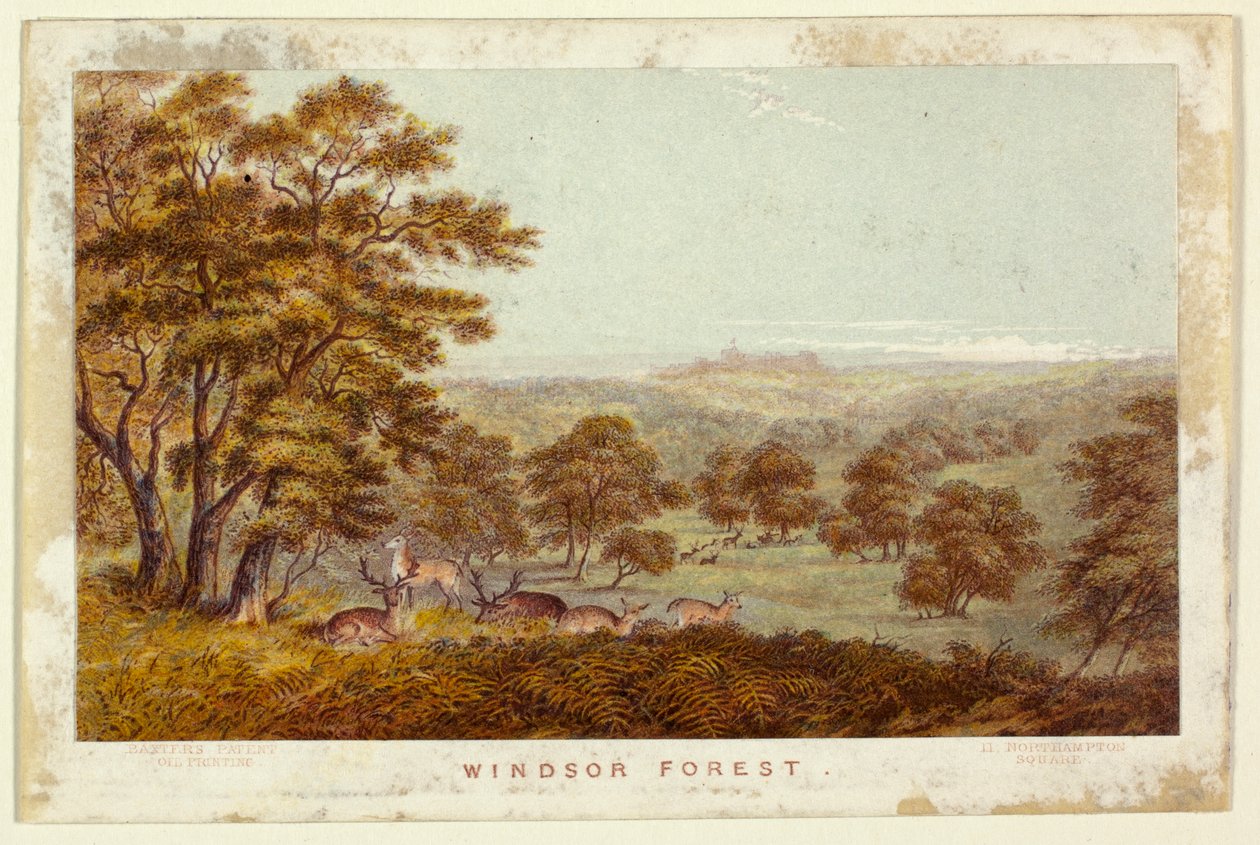 Windsor Forest - pocketutgåva av George Baxter