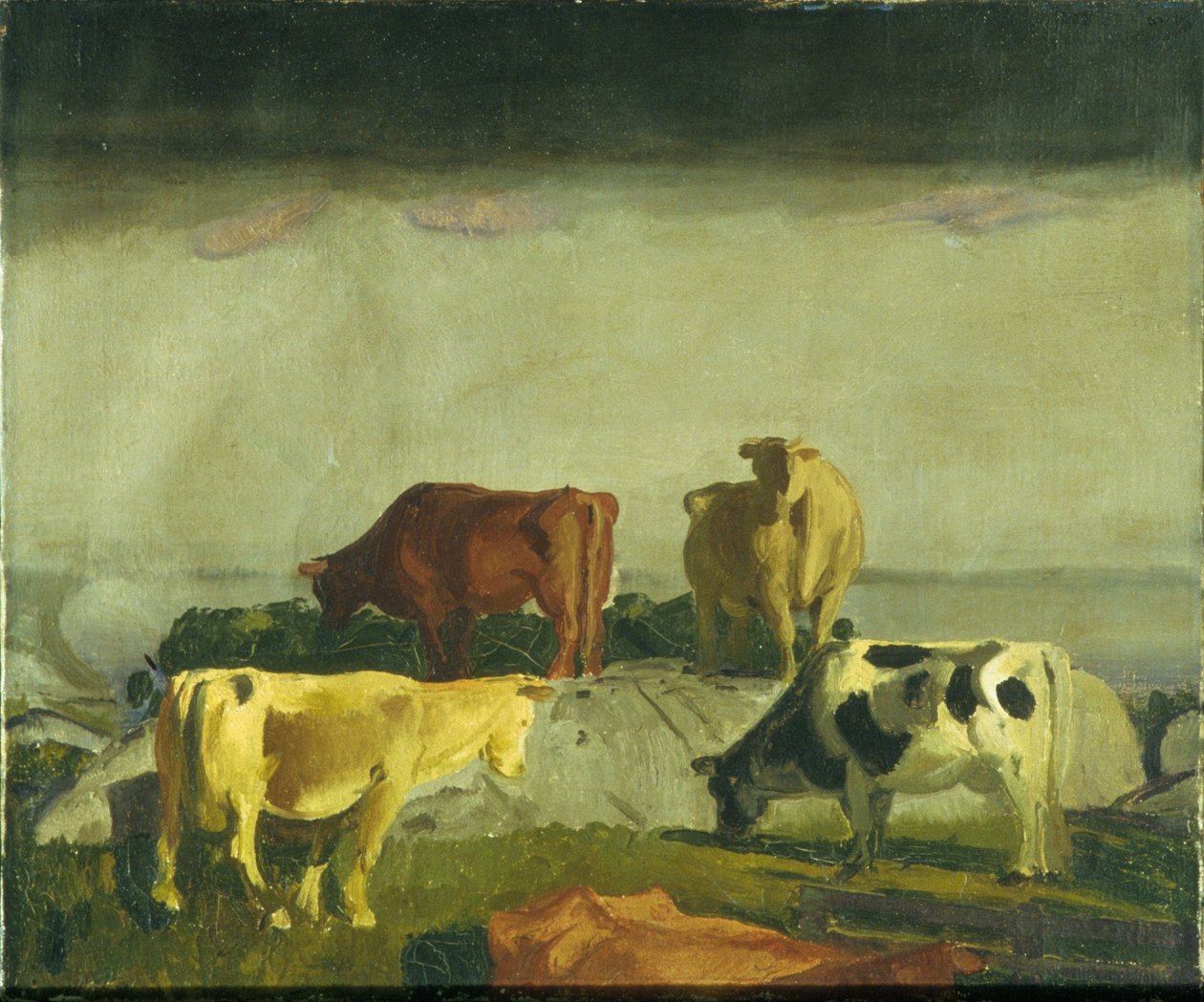 Den röda vinstocken, Matinicus Island, Maine av George Bellows