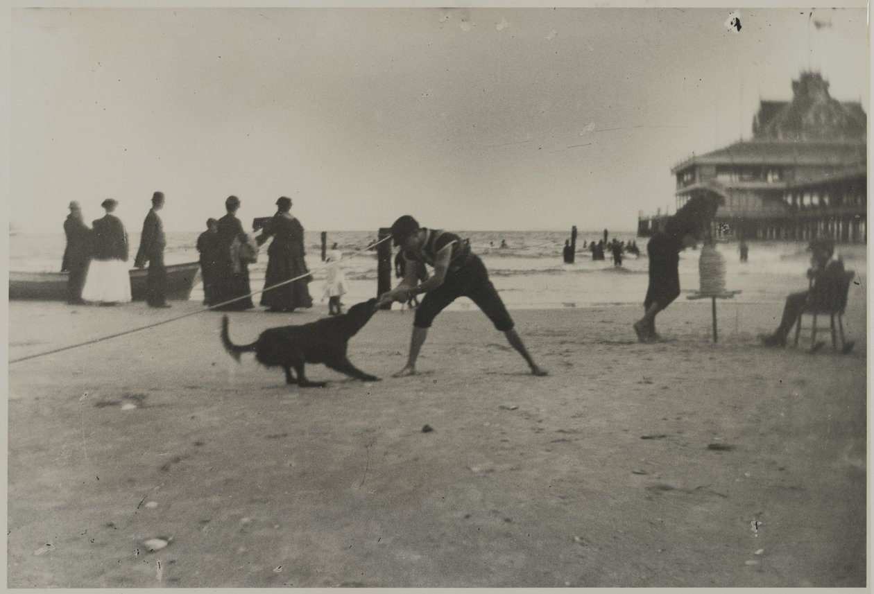 Pojke och hund, Iron Pier, Coney Island, Brooklyn, ca 1885 (tryckt gelatinsilvertryck) av George Bradford Brainerd