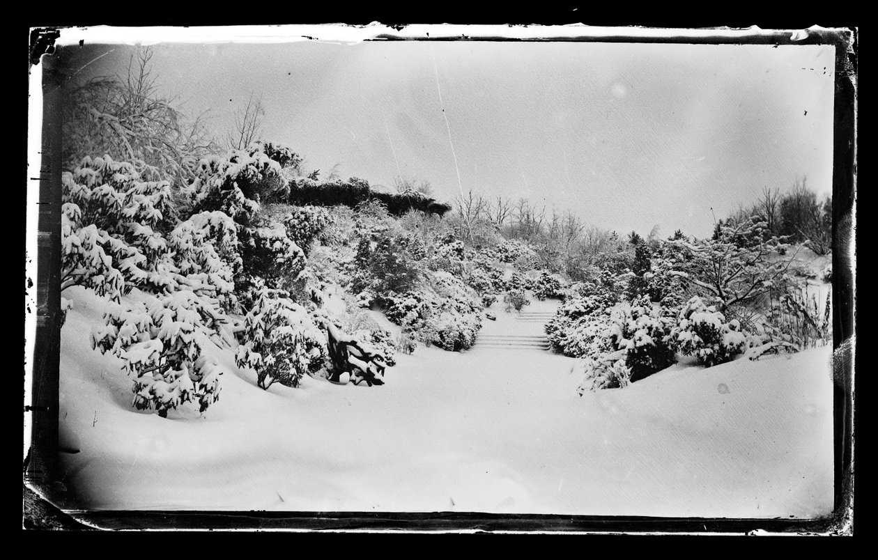 swed av George Bradford Brainerd