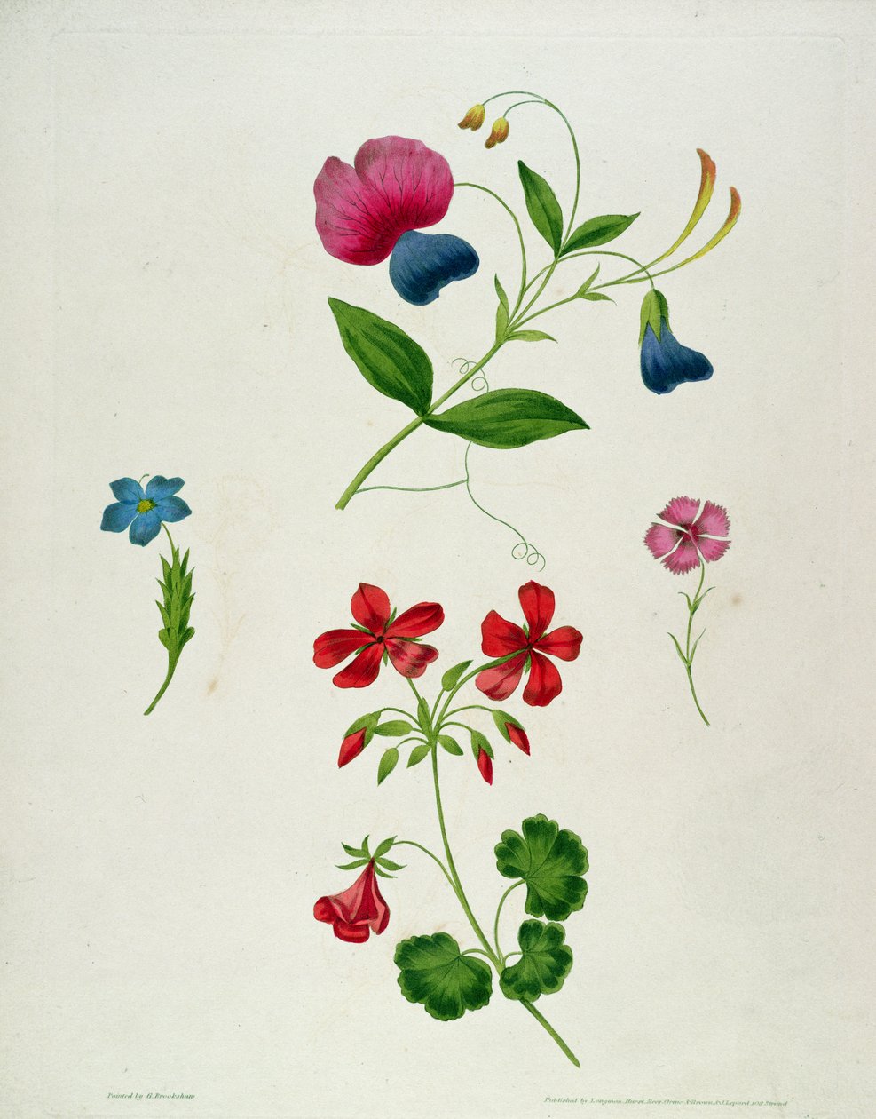 En illustration från 