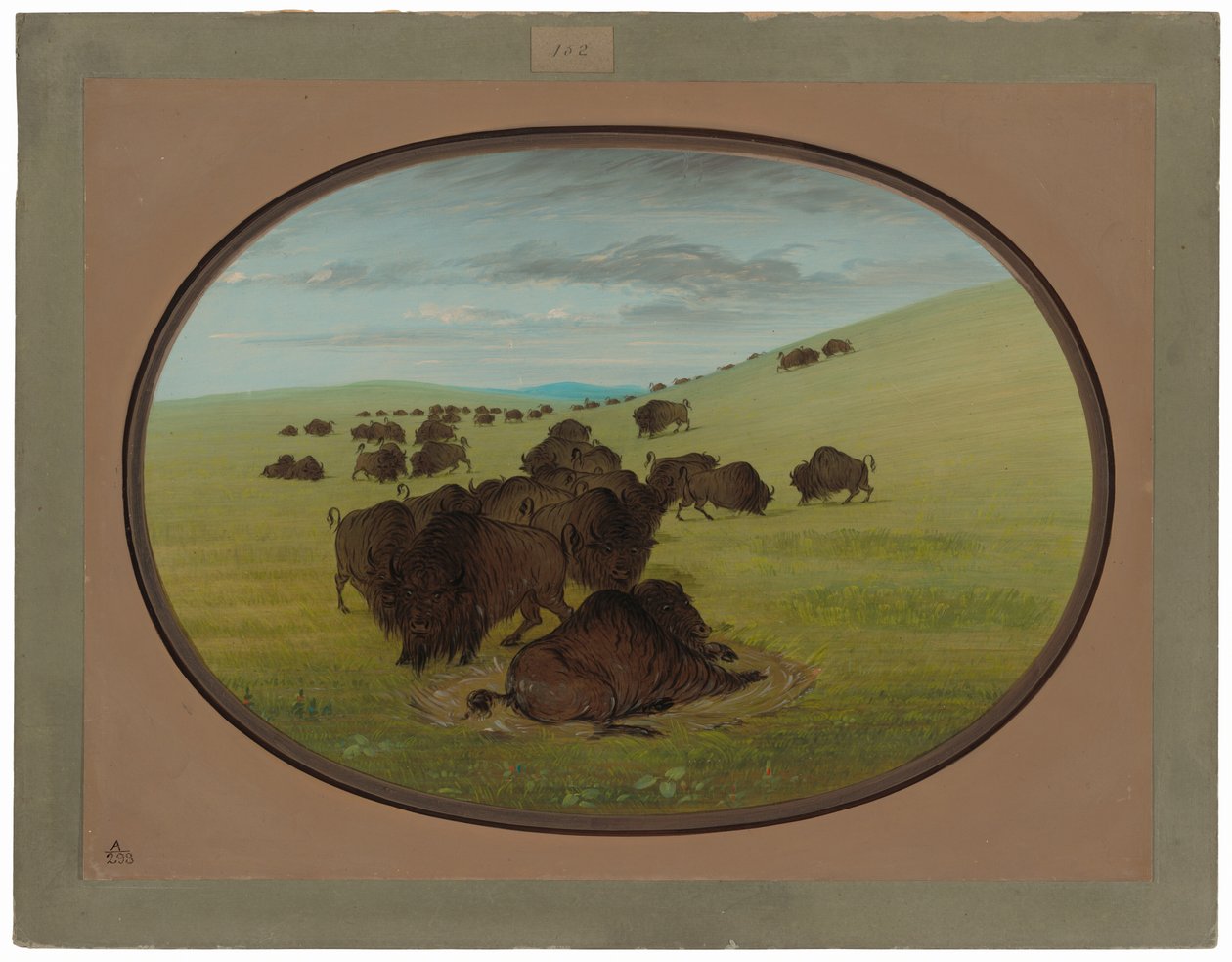 En buffelvalla av George Catlin