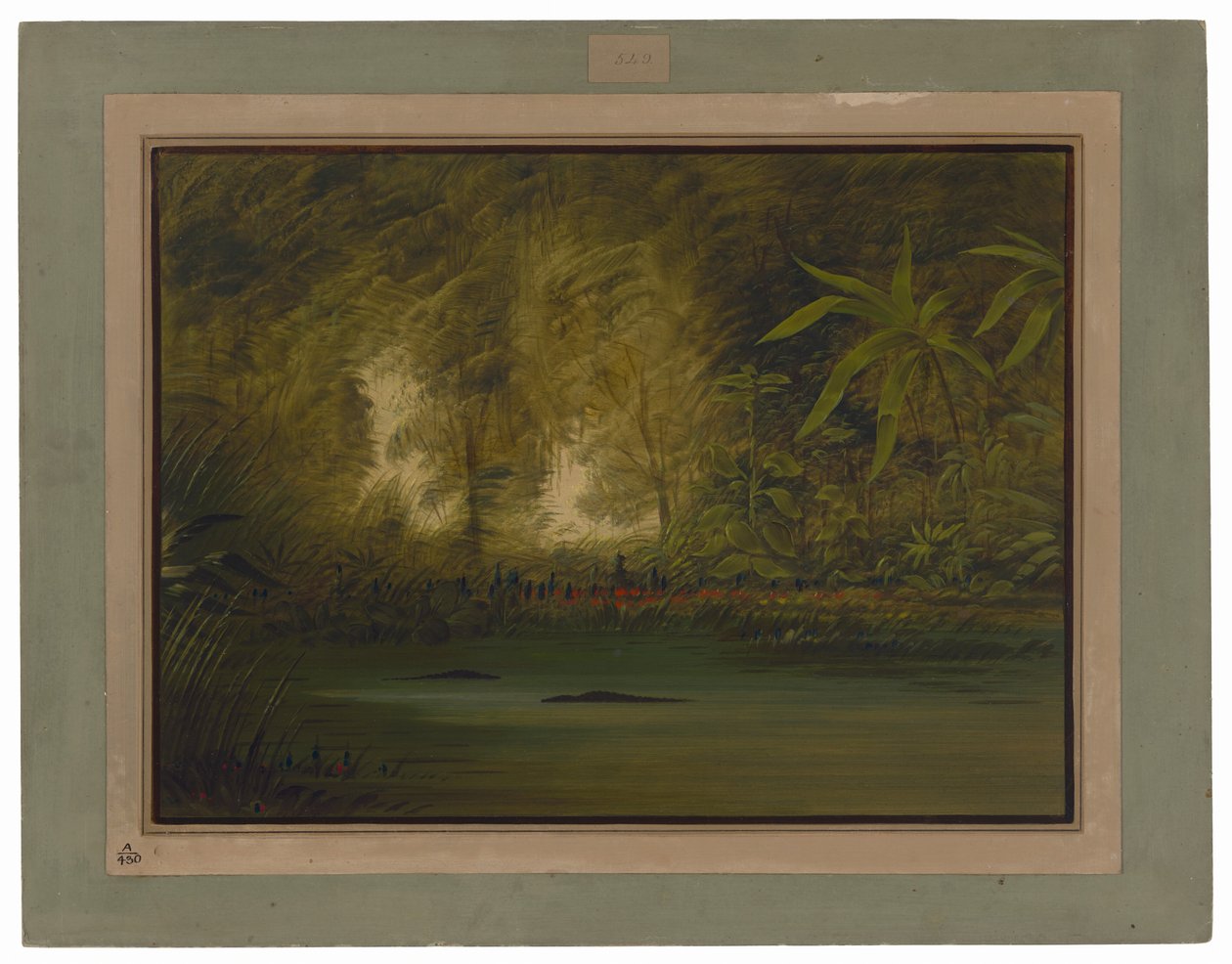 En lagun i övre Amazonas av George Catlin