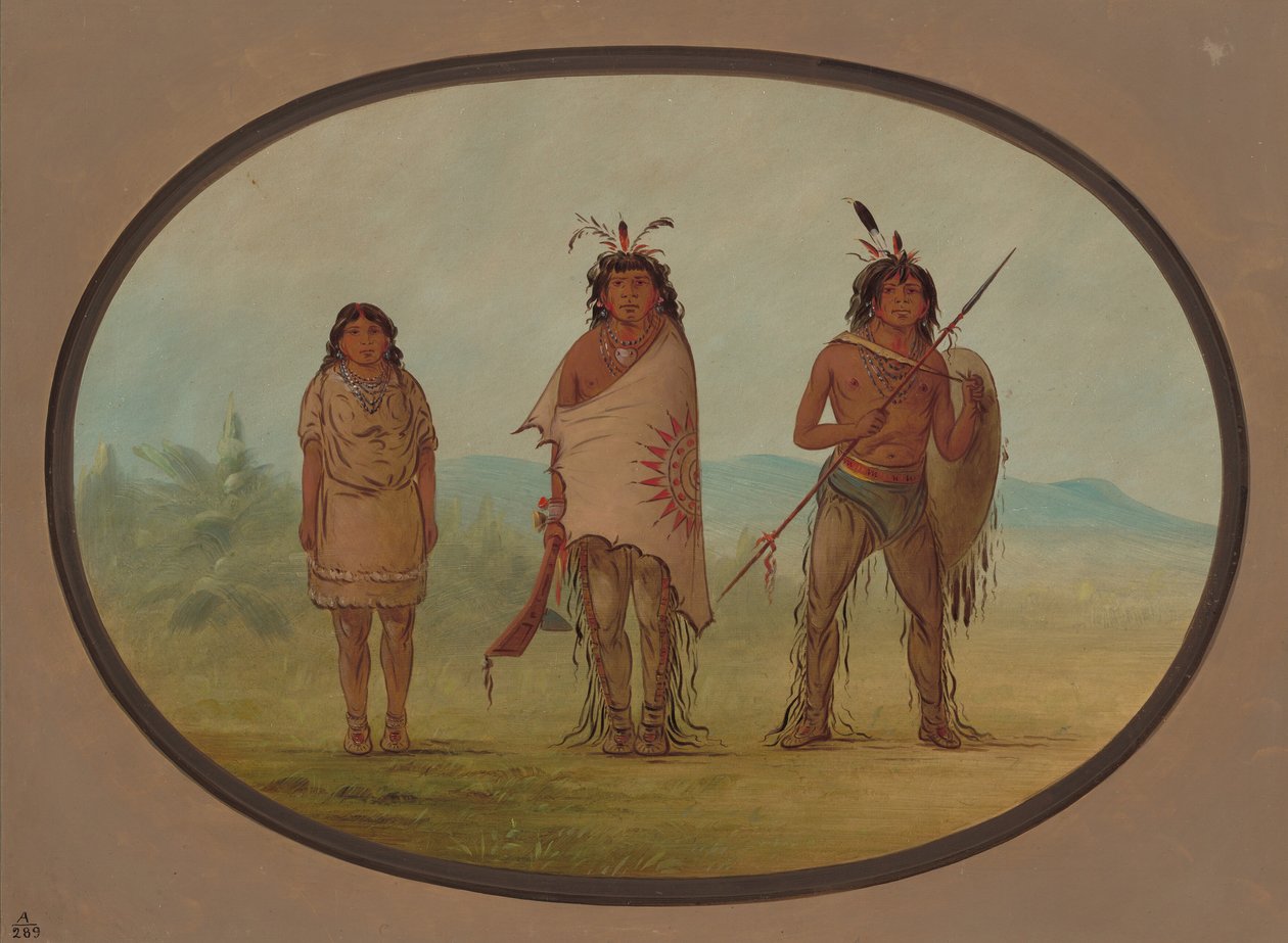 swedish av George Catlin
