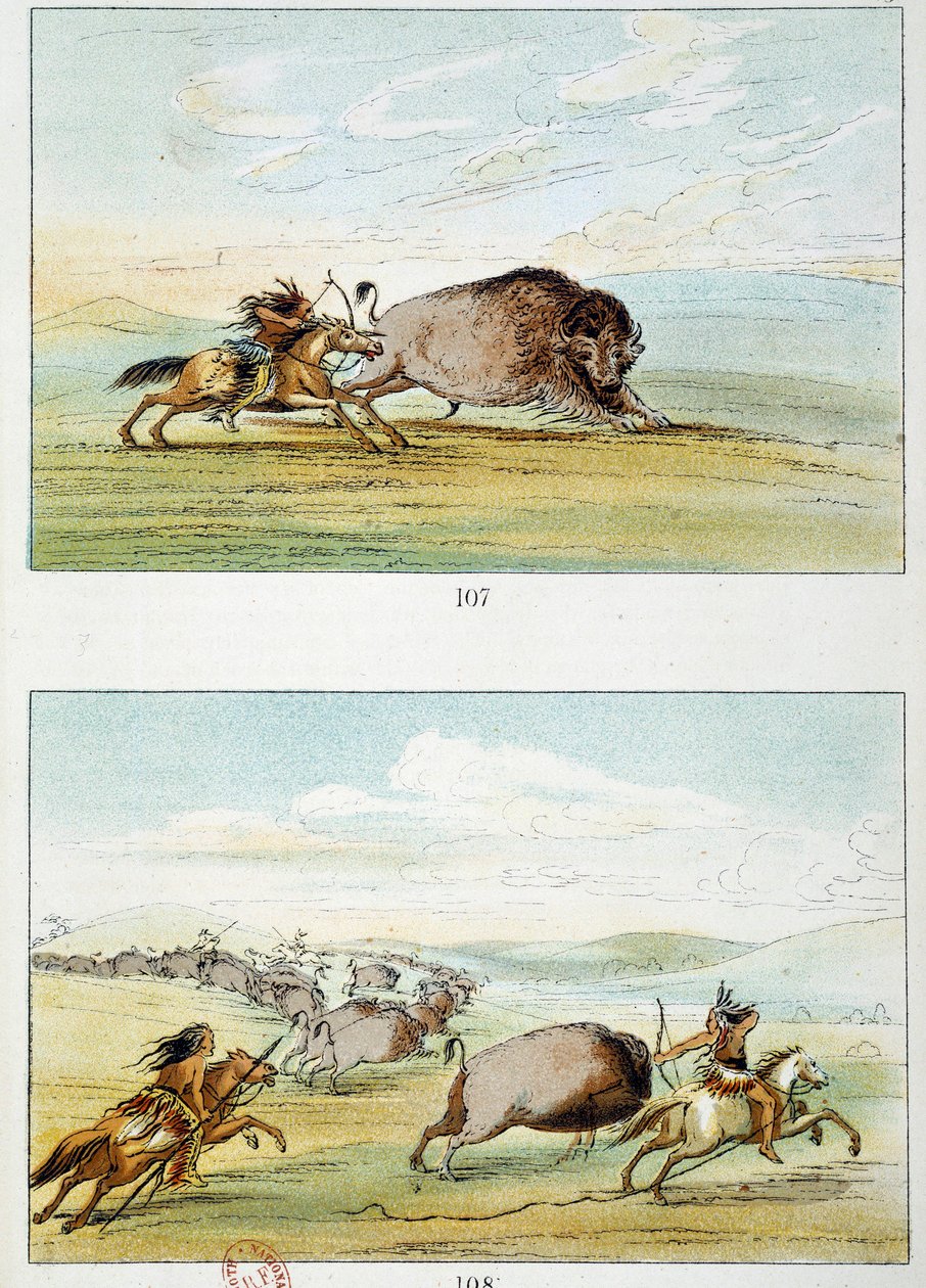 Amerikanska indianer: visenterjakt. Illustration av George Catlin (1794-1872) av George Catlin