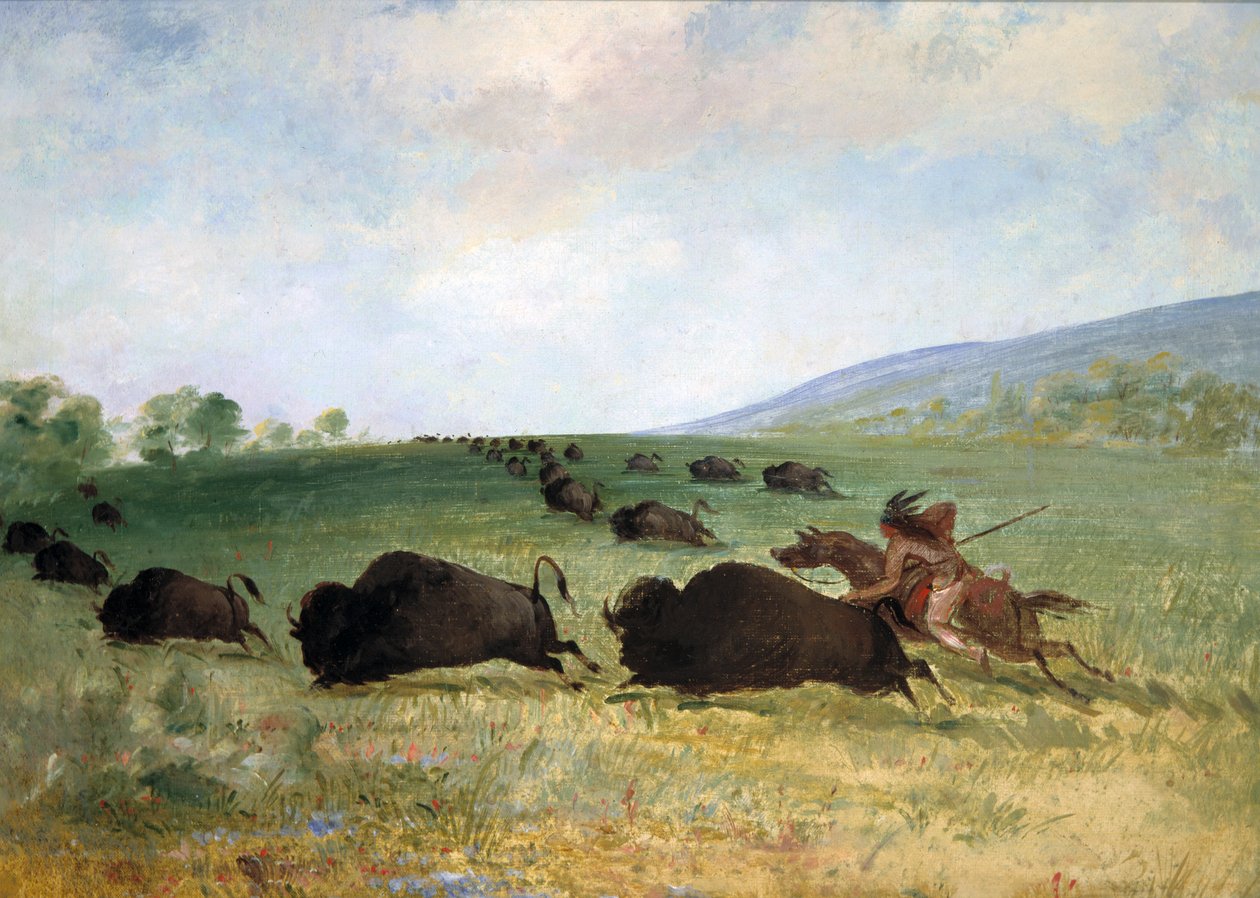 En indian från Osage som lanserar en buffel, 1846-1848. av George Catlin