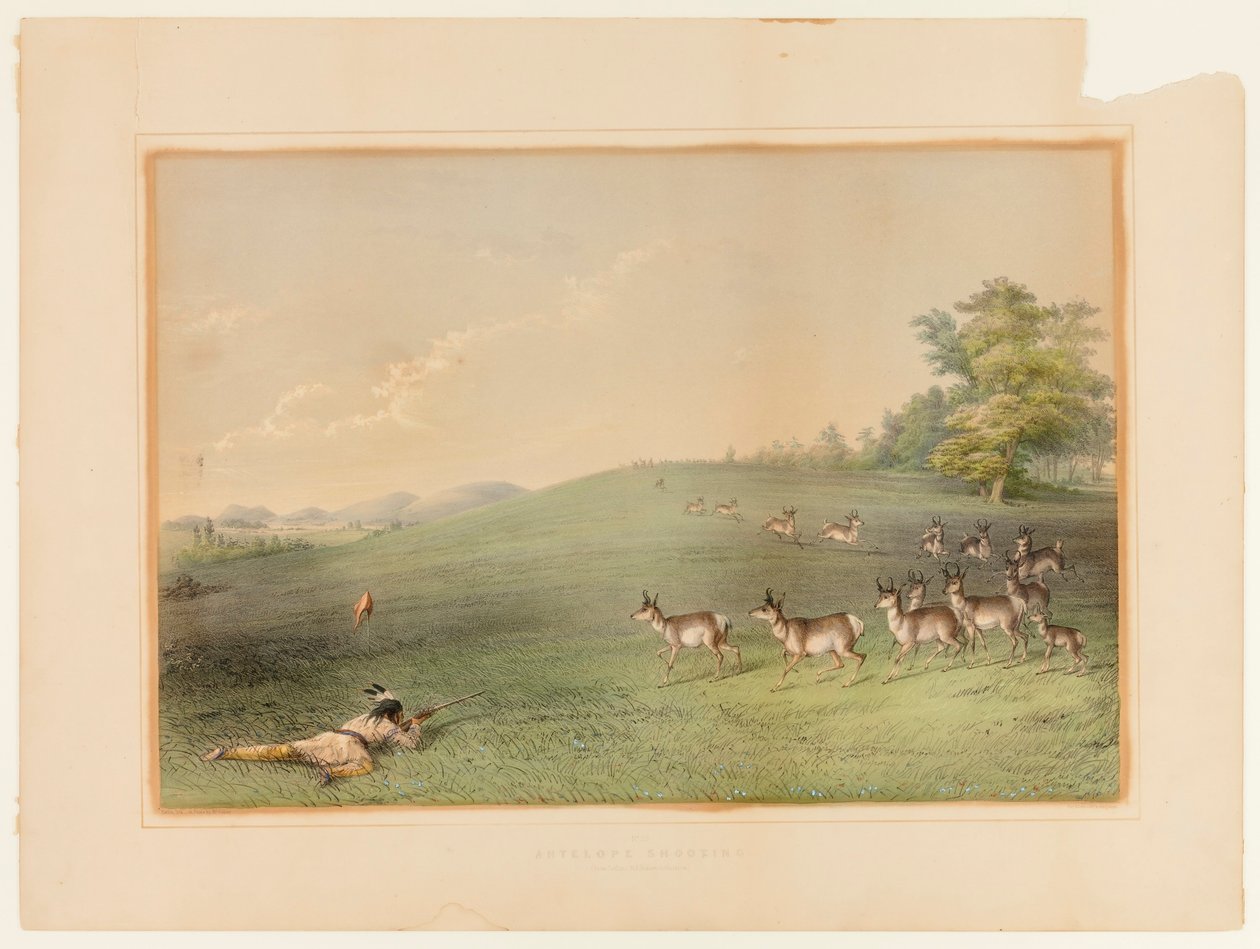Antilopjakt - nr 20 av George Catlin