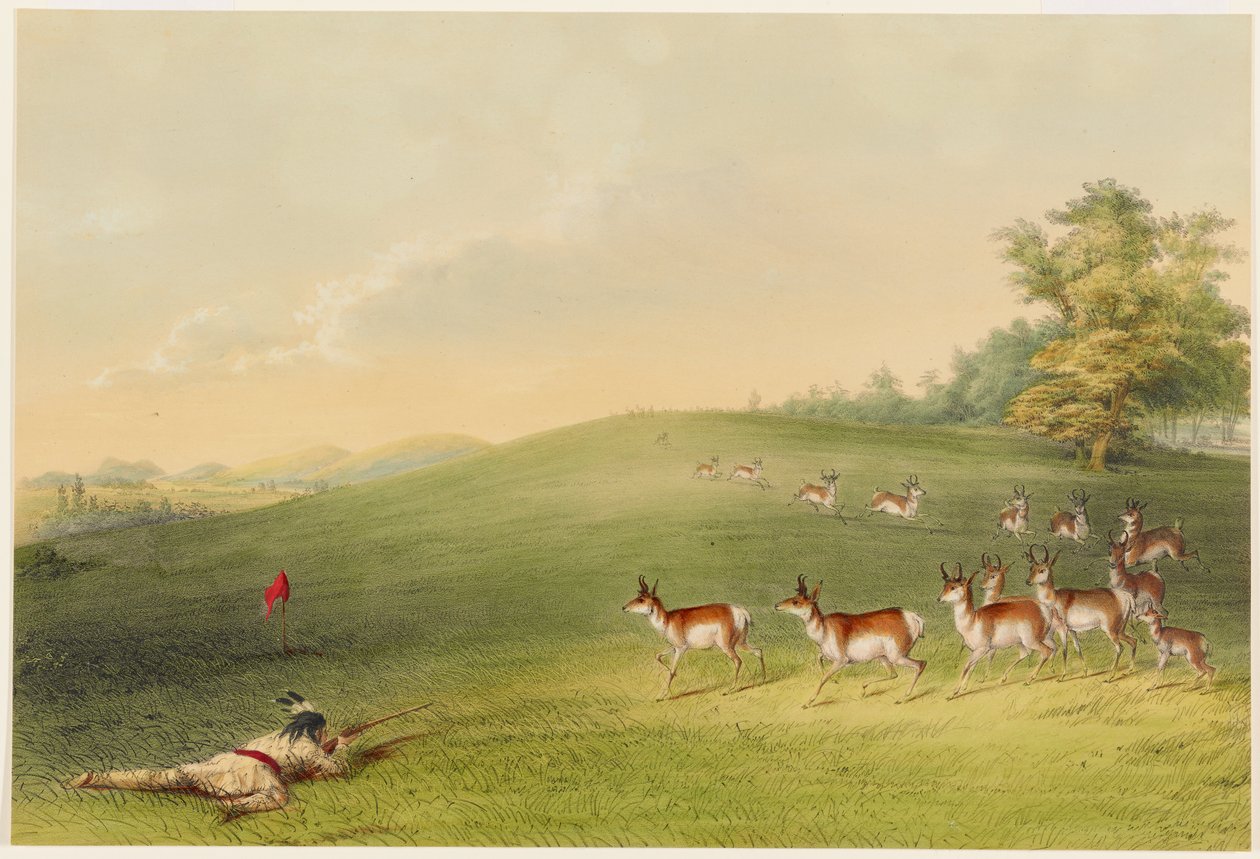 Antilopjakt av George Catlin