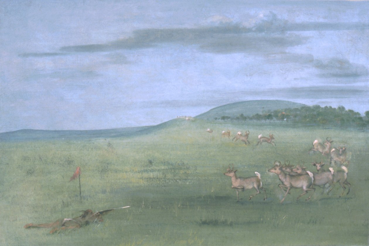 Antilopskytte, med lockbete av George Catlin