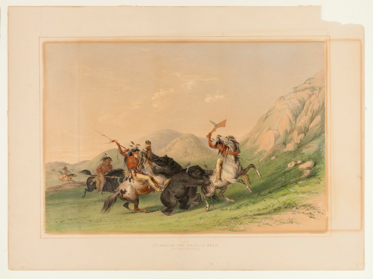 Attackera Grizzlybjörnen - nr 19 av George Catlin