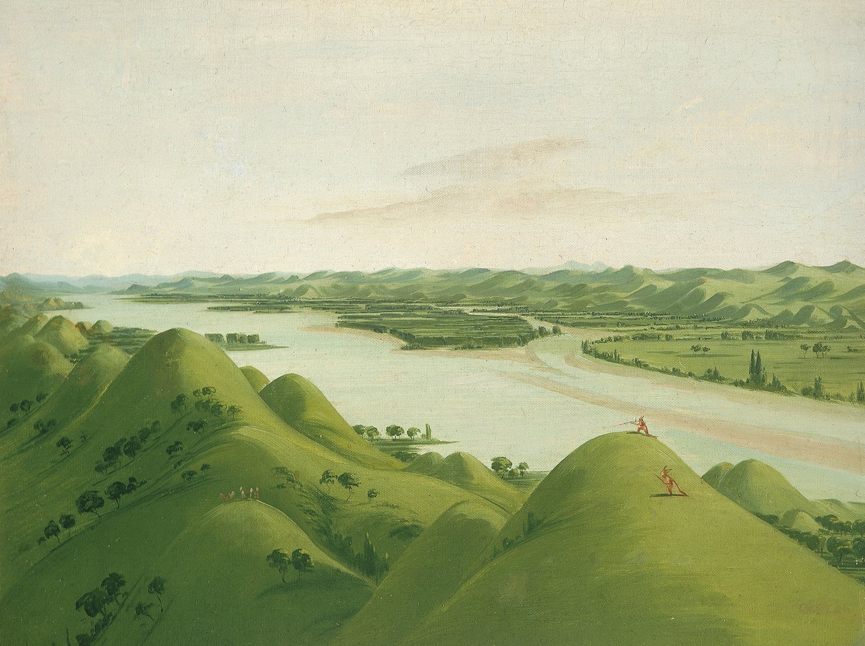 Vackra präriebloss ovanför Poncas, 1050 mil ovanför St. Louis av George Catlin