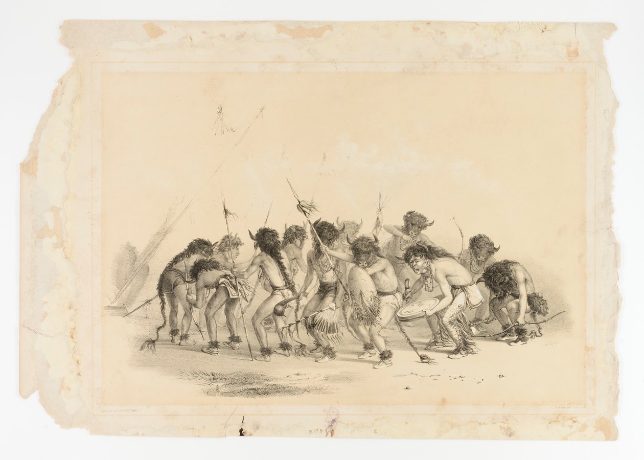 Buffeldans nr 8 av George Catlin