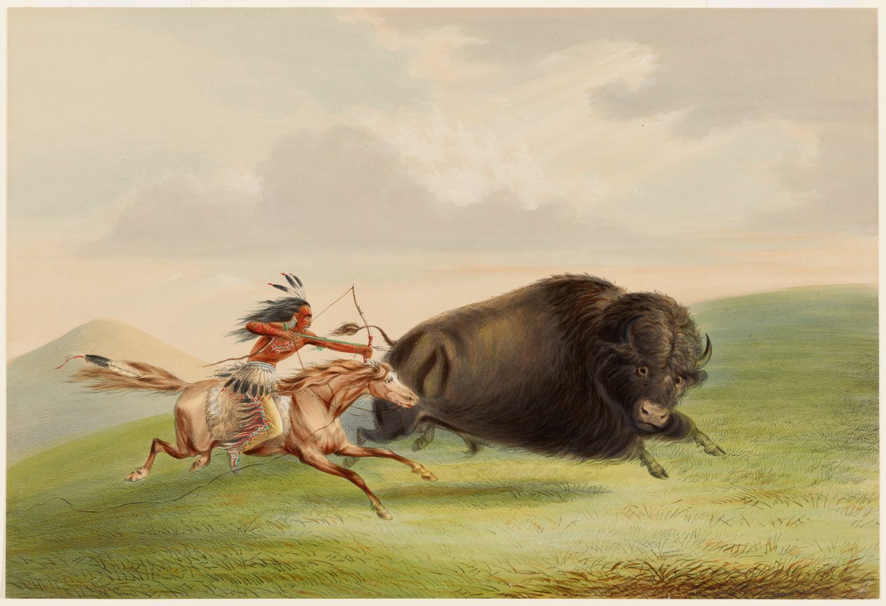Buffeljakt, Jakt av George Catlin