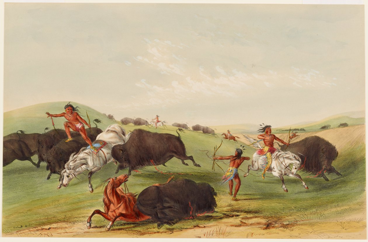 Buffeljakt: förföljelse av George Catlin
