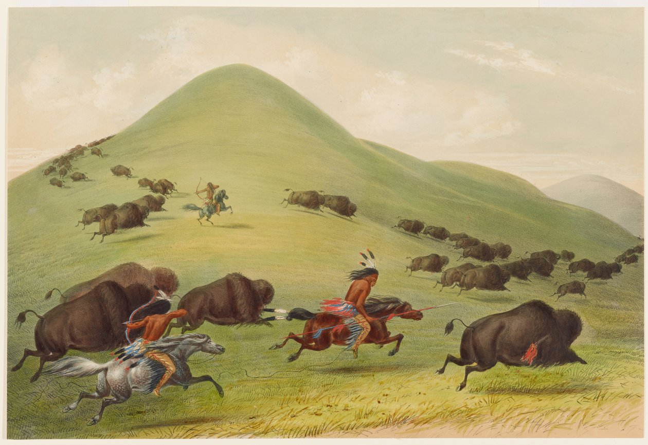 Buffeljakt: förföljelse av George Catlin