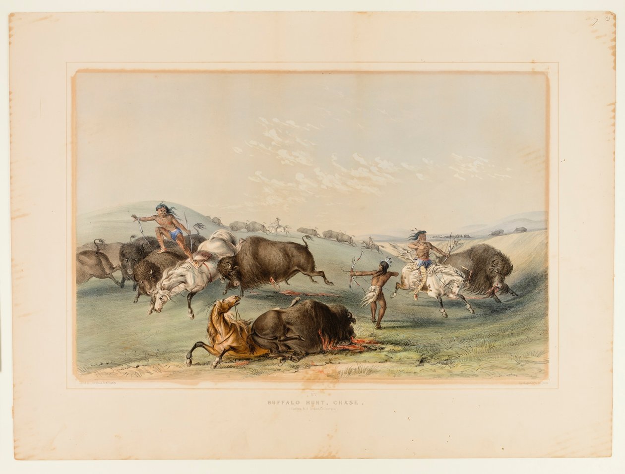 Buffalo Hunt, Chase nr 7 av George Catlin