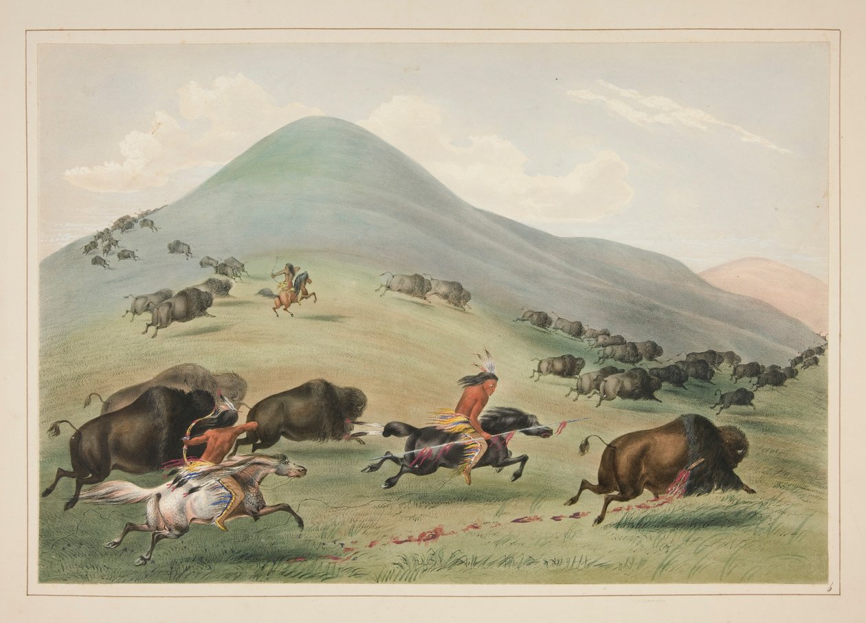 Buffalo Hunt, Chase, pl. 6 från North American Indian Portfolio av George Catlin