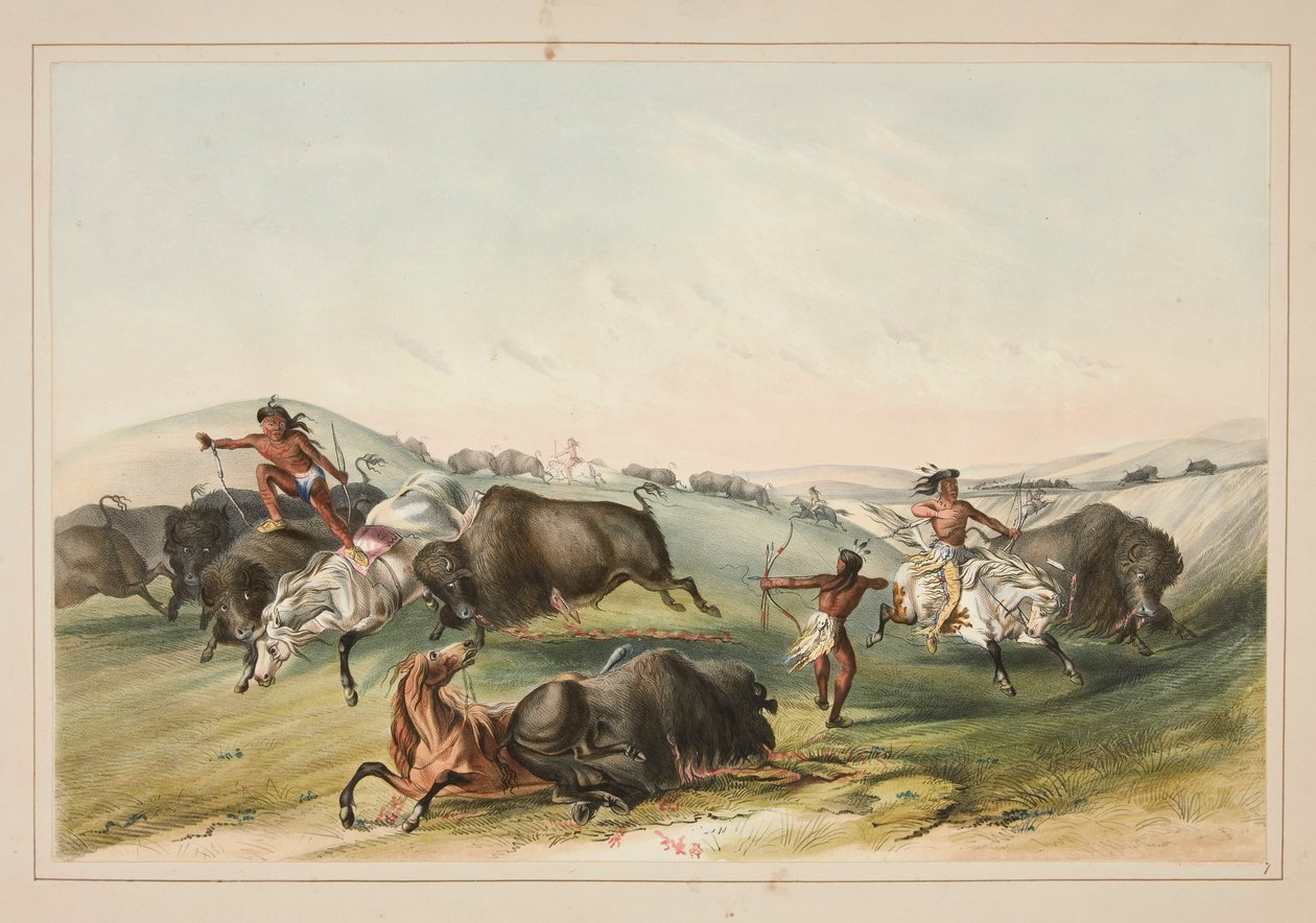 Buffalo Hunt, Chase, pl. 7 från North American Indian Portfolio av George Catlin