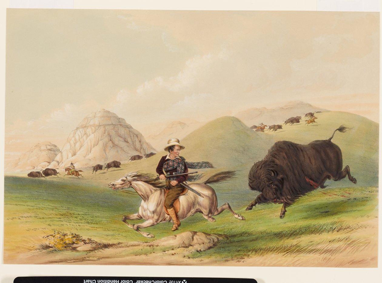 Bisonjakt, drivna tillbaka av George Catlin
