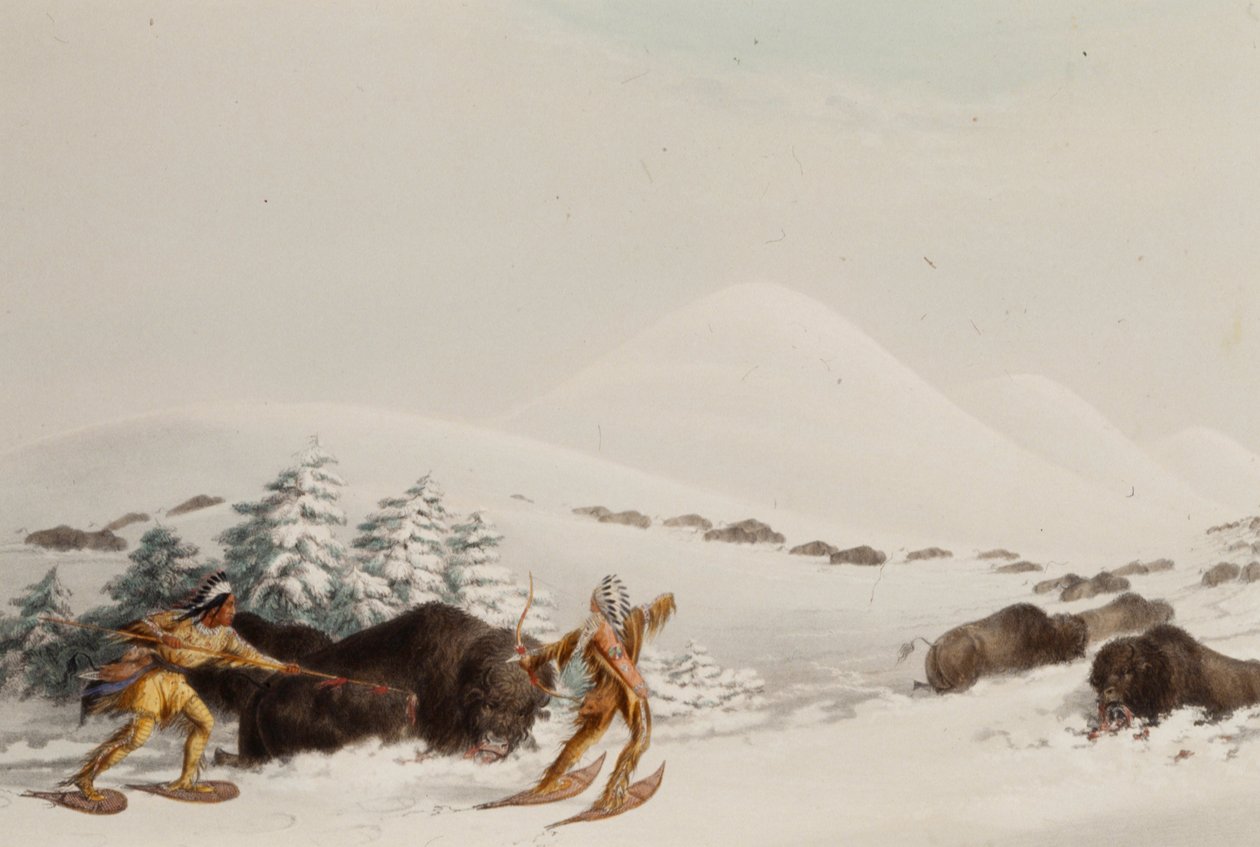 Buffeljakt på snöskor av George Catlin