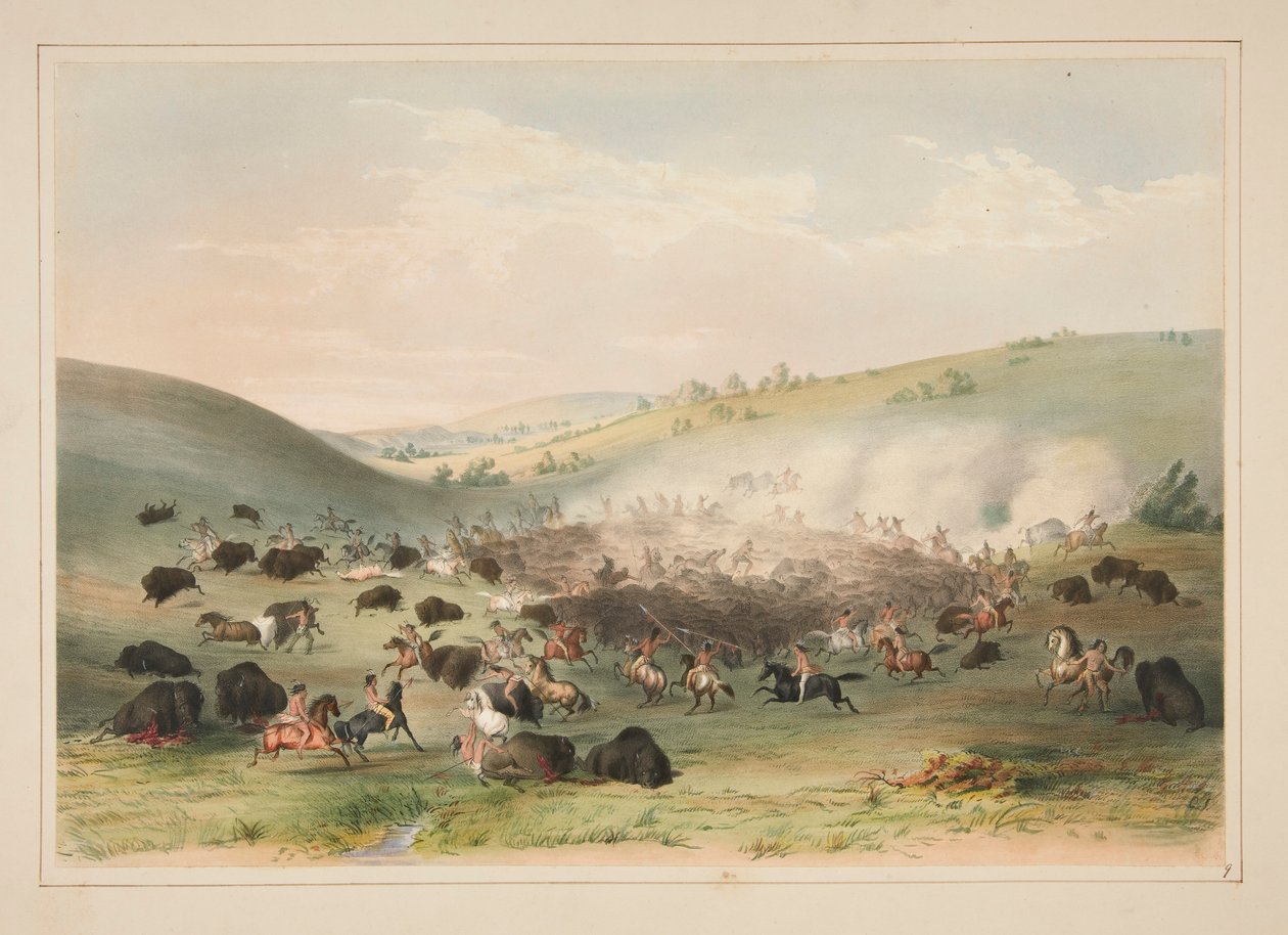 Buffalo Hunt, Surround, pl. 9 från North American Indian Portfolio av George Catlin