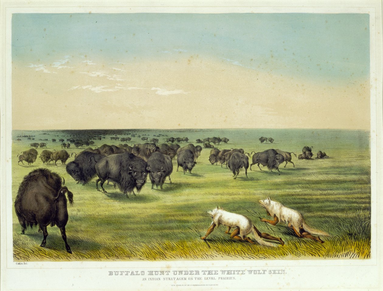 Buffeljakt under den vita vargens skinn av George Catlin