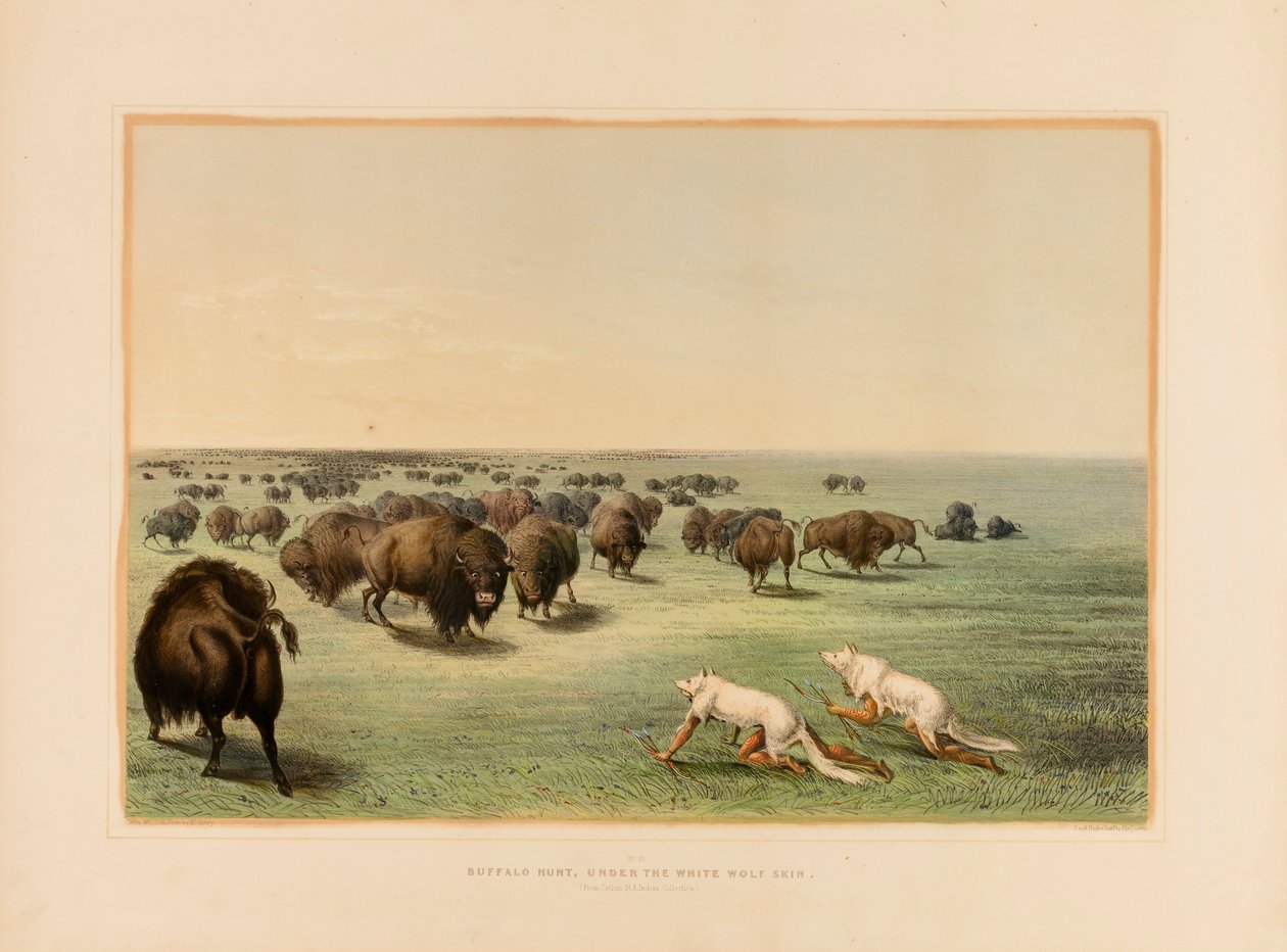 Buffeljakt under det vita vargskinnet - nr 13 av George Catlin